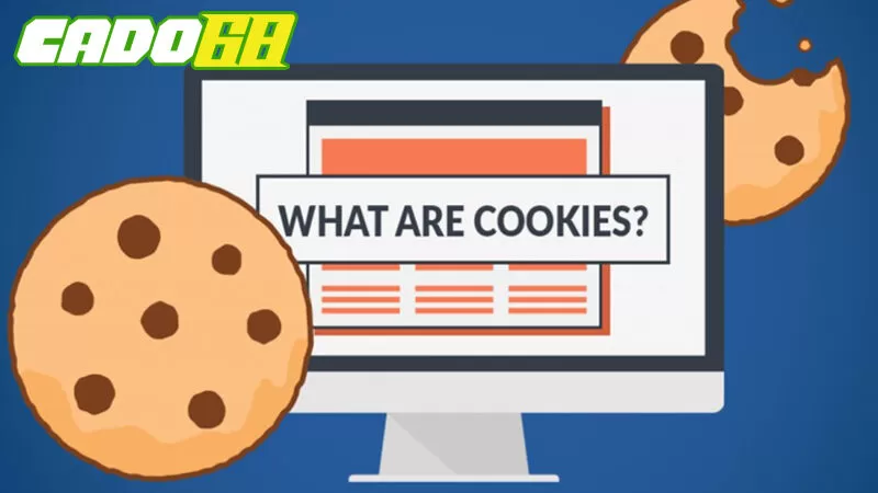 Không lưu trữ cookies của khách hàng Không lưu trữ cookies của khách hàng