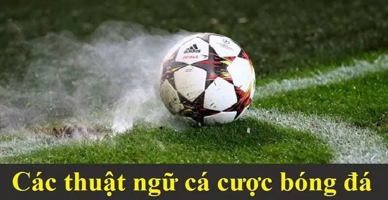 C&aacute;c thuật ngữ c&aacute; độ b&oacute;ng đ&aacute; k&egrave;o ch&acirc;u &aacute;&nbsp;