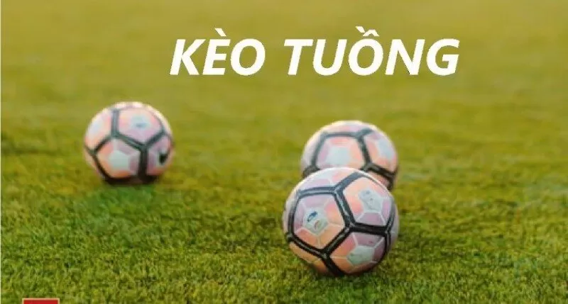 Kiến thức cơ bản c&aacute;c cược thủ cần nắm trước khi chơi k&egrave;o